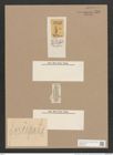Navicula forcipata Grev. (de-Toni-Nr.: Genus 1, Species 332) Zeichnungen Sammlung Grunow Nr. 758 (NHMW-BOT-W0367162)